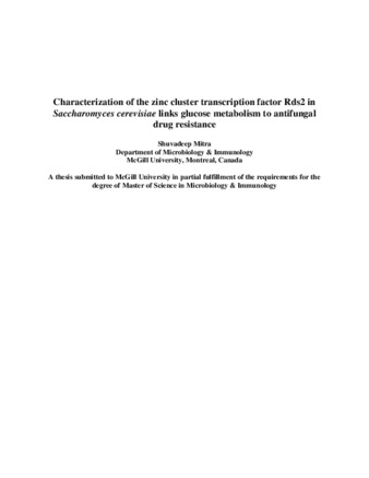 Characterization of the zinc cluster transcription factor Rds2 in «Saccharomyces cerevisiae» links glucose metabolism to antifungal drug resistance thumbnail