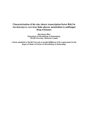 Characterization of the zinc cluster transcription factor Rds2 in «Saccharomyces cerevisiae» links glucose metabolism to antifungal drug resistance thumbnail