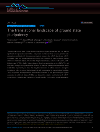 The translational landscape of ground state pluripotency thumbnail