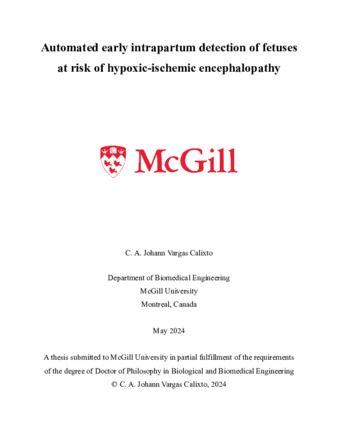 Automated early intrapartum detection of fetuses at risk of hypoxic-ischemic encephalopathy thumbnail