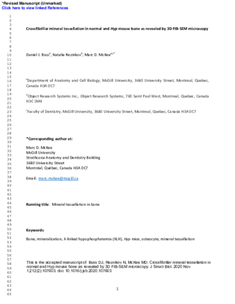 Crossfibrillar mineral tessellation in normal and Hyp mouse bone as revealed by 3D FIB-SEM microscopy thumbnail