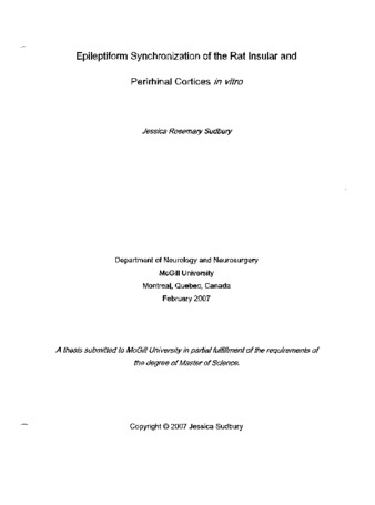 Epileptiform synchronization of the rat insular and perirhinal cortices in vitro thumbnail