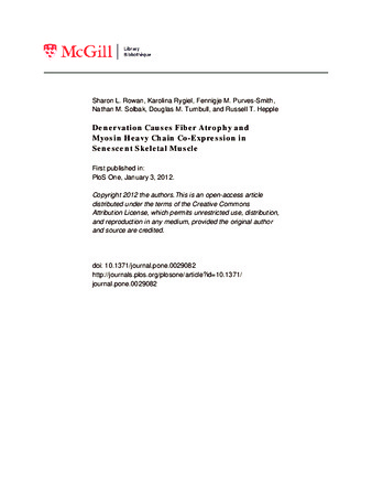 Denervation Causes Fiber Atrophy and Myosin Heavy Chain Co-Expression in Senescent Skeletal Muscle thumbnail