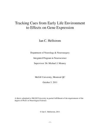 Tracking cues from early life environment to effects on gene expression thumbnail