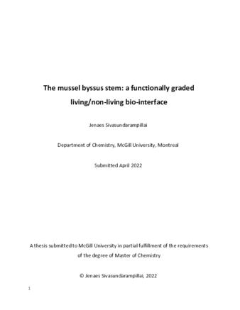 The mussel byssus stem: a functionally-graded living/non-living bio-interface thumbnail