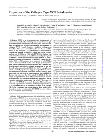 Properties of the Collagen Type XVII Ectodomain EVIDENCE FOR N- TO C-TERMINAL TRIPLE HELIX FOLDING thumbnail