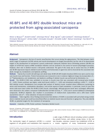 4E-BP1 and 4E-BP2 double knockout mice are protected from aging-associated sarcopenia thumbnail