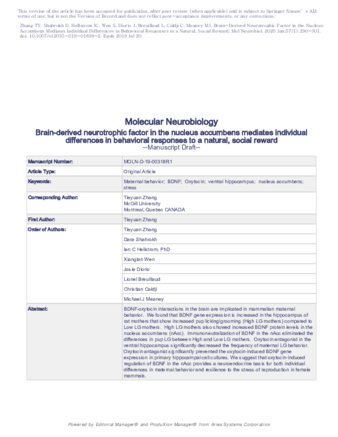 Brain-Derived Neurotrophic Factor in the Nucleus Accumbens Mediates Individual Differences in Behavioral Responses to a Natural, Social Reward thumbnail