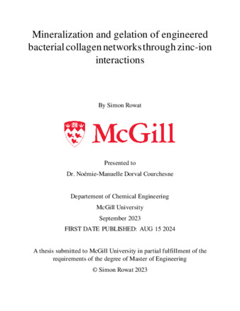 Mineralization and gelation of engineered bacterial collagen networks through zinc-ion interactions thumbnail