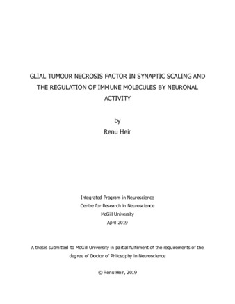 Glial tumour necrosis factor in synaptic scaling and the regulation of immune molecules by neuronal activity thumbnail