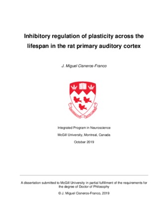 Inhibitory regulation of plasticity across the lifespan in the rat primary auditory cortex thumbnail
