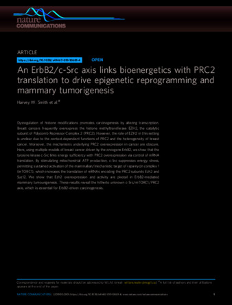 An ErbB2/c-Src axis links bioenergetics with PRC2 translation to drive epigenetic reprogramming and mammary tumorigenesis thumbnail