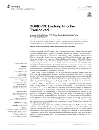 COVID-19: Looking Into the Overlooked thumbnail