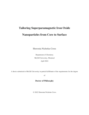 Tailoring superparamagnetic iron oxide nanoparticles from core to surface thumbnail