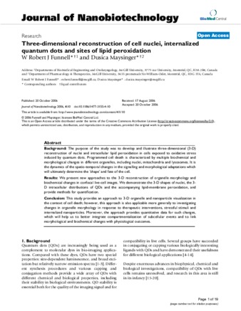 Three-dimensional reconstruction of cell nuclei, internalized quantum dots and sites of lipid peroxidation thumbnail