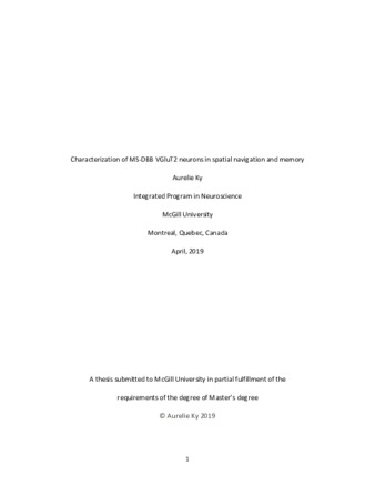 Characterization of MS-DBB VGluT2 neurons in spatial navigation and memory thumbnail