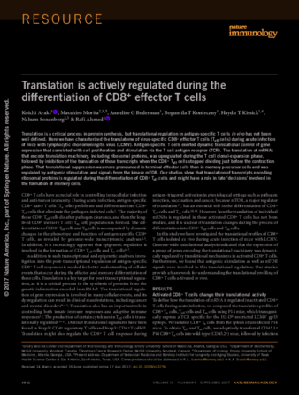 Translation is actively regulated during the differentiation of CD8+ effector T cells thumbnail