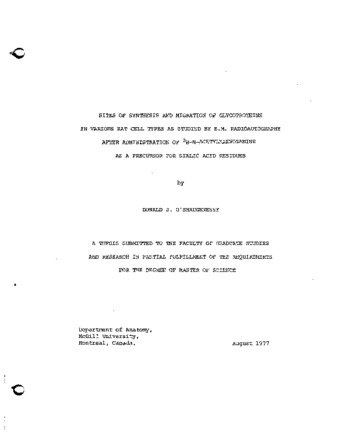 Sites of synthesis and migration of glycoproteins in various rat cell types as studied by E.M. radioautography after administration of 3H-N-acetylmannosamine as a precursor for sialic acid residues thumbnail