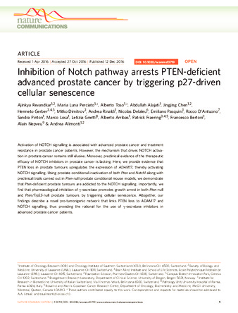 Inhibition of Notch pathway arrests PTEN-deficient advanced prostate cancer by triggering p27-driven cellular senescence thumbnail