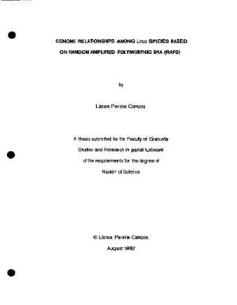 Genome relationships among Lotus species based on random amplified polymorphic DNA (RAPD) thumbnail