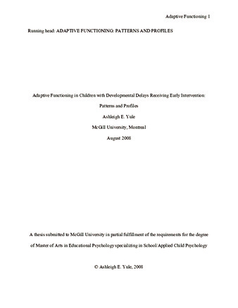 Adaptive functioning in children with developmental delays receiving early intervention services: patterns and profiles thumbnail