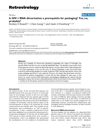 Is HIV-1 RNA dimerization a prerequisite for packaging? Yes, no, probably? thumbnail