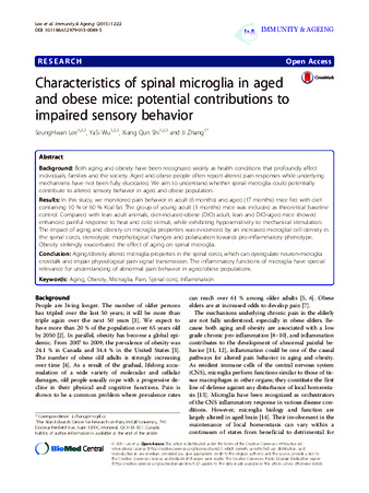 Characteristics of spinal microglia in aged and obese mice: potential contributions to impaired sensory behavior thumbnail