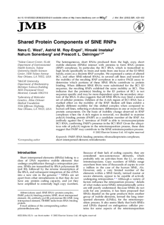 Shared Protein Components of SINE RNPs thumbnail