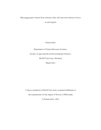 Macroaggregates formed from calcium oxide salts that resist abrasive forces  in arid regions thumbnail