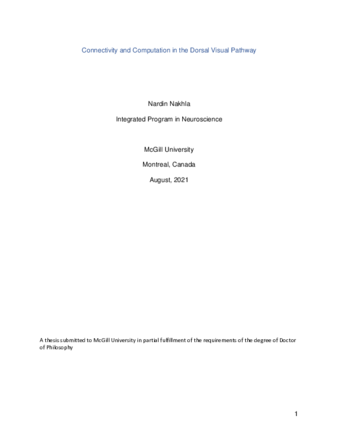 Connectivity and computation in the dorsal visual pathway thumbnail