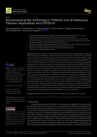 Involvement of the ACE2/Ang-(1-7)/MasR Axis in Pulmonary Fibrosis: Implications for COVID-19 thumbnail