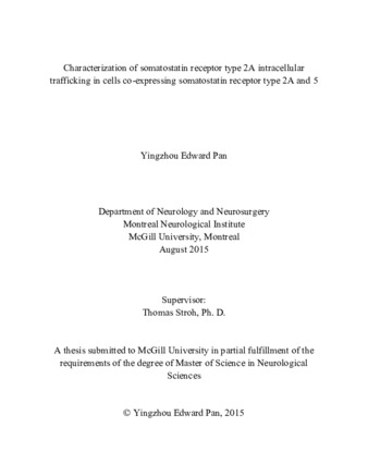 Characterization of somatostatin receptor type 2A intracellular trafficking in cells co-expressing somatostatin receptor type 2A and 5 thumbnail