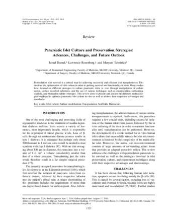 Pancreatic Islet Culture and Preservation Strategies: Advances, Challenges, and Future Outlook thumbnail