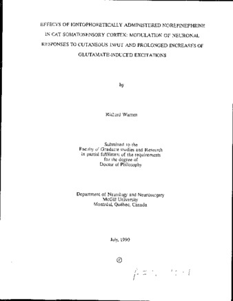 Effects of iontophoretically administered norepinephrine in cat somatosensory cortex : modulation of neuronal responses to cutaneous input and prolonged increases of glutamate-induced excitations thumbnail