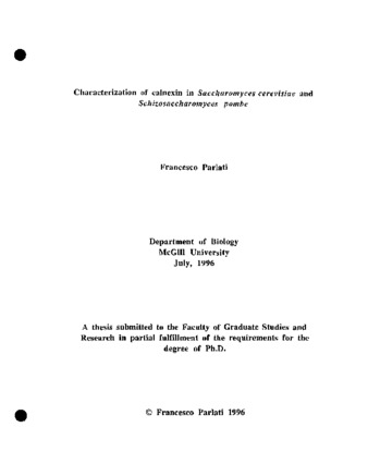 Characterization of calnexin in Saccharomyces cerevisiae and Schizosaccharomyces pombe thumbnail