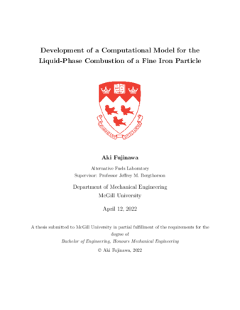 Development of a computational model for the liquid-phase combustion of a fine iron particle thumbnail