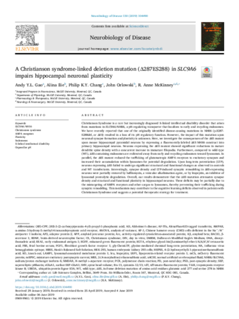 A Christianson syndrome-linked deletion mutation (Δ287ES288) in SLC9A6 impairs hippocampal neuronal plasticity thumbnail