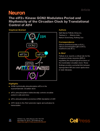 The eIF2α Kinase GCN2 Modulates Period and Rhythmicity of the Circadian Clock by Translational Control of Atf4 thumbnail