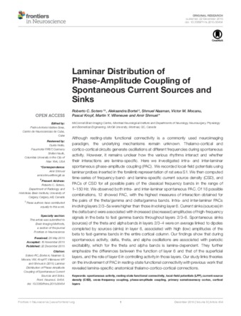 Laminar Distribution of Phase-Amplitude Coupling of Spontaneous Current Sources and Sinks thumbnail