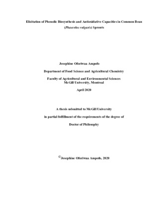 Elicitation of phenolic biosynthesis and antioxidative capacities in common bean «(phaseolus vulgaris)» sprouts thumbnail