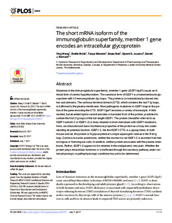 The short mRNA isoform of the immunoglobulin superfamily, member 1 gene encodes an intracellular glycoprotein thumbnail