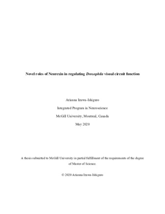 Novel roles of Neurexin in regulating «Drosophila» visual circuit function thumbnail