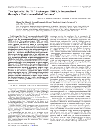 The Epithelial Na+/H+ Exchanger, NHE3, Is Internalized through a Clathrin-mediated Pathway thumbnail