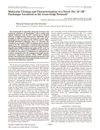 Molecular cloning and characterization of a novel (Na+,K+)/H+ exchanger localized to the trans-Golgi network. thumbnail