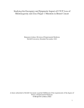 Studying the Oncogenic and Epigenetic Impact of CTCF Loss of Heterozygosity and Zinc-Finger 1 Mutation in Breast Cancer thumbnail