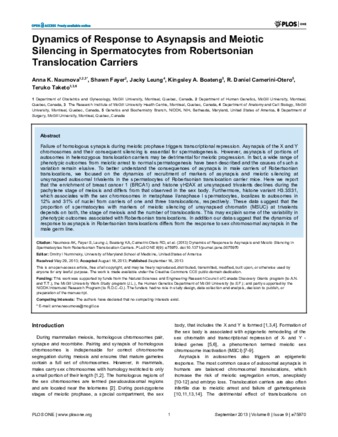 Dynamics of Response to Asynapsis and Meiotic Silencing in Spermatocytes from Robertsonian Translocation Carriers thumbnail