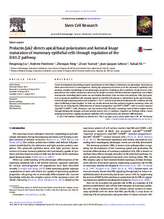 Prolactin/Jak2 directs apical/basal polarization and luminal linage maturation of mammary epithelial cells through regulation of the Erk1/2 pathway thumbnail