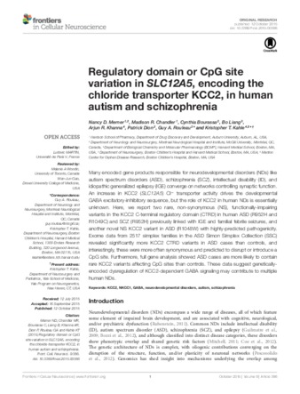 Regulatory domain or CpG site variation in SLC12A5, encoding the chloride transporter KCC2, in human autism and schizophrenia thumbnail
