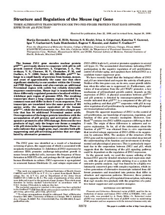 Structure and Regulation of the Mouse ing1 Gene: Three Alternative Transcripts Encode Two PHD Finger Proteins that have Opposite Effects on p53 Function thumbnail