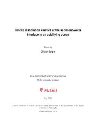 Calcite dissolution kinetics at the sediment-water interface in an acidifying ocean thumbnail